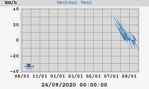 Wind Vector